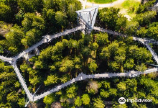 Skywalk Allgau Naturerlebnispark景点图片
