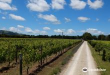 Cambridge Road Vineyard & Cellar Door景点图片