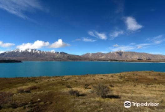 Lake Tekapo/Takapō Peninsula Walkway景点图片