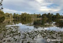 Traralgon Railway Reservoir Conservation Reserve景点图片