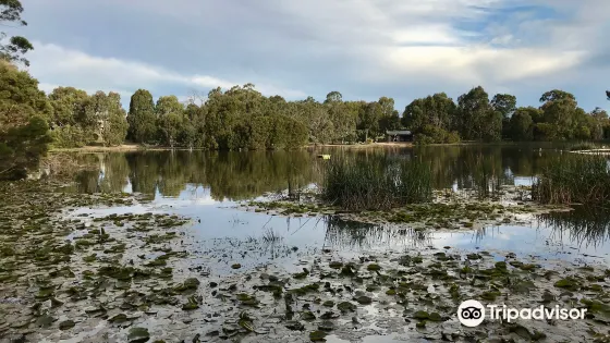 Traralgon Railway Reservoir Conservation Reserve