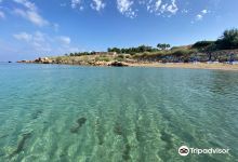Sirena Bay Rd景点图片