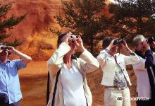 UPUPA Birdwatching景点图片