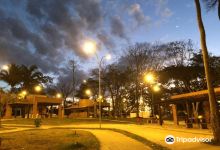 Bosque Municipal De Ouro Preto Do Oeste景点图片