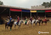 Lion's Head Castle景点图片