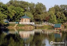 Park Aleksandriya景点图片