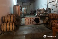 Only Child Brewing Company景点图片