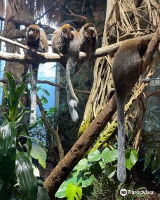 Skansen Aquarium-斯德哥尔摩