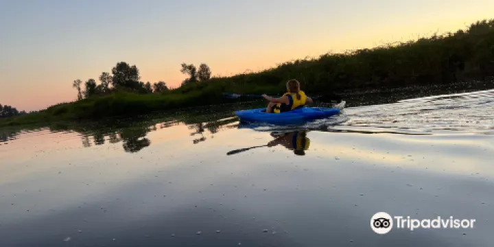 Pitt Polder Ecological Reserve