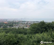 Pikkerbakken-腓特烈港