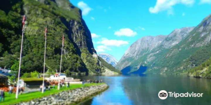 Naeroyfjord