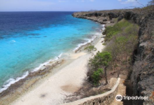 Bonaire National Marine Park景点图片