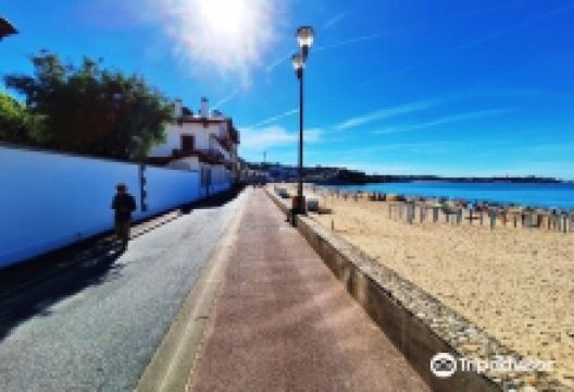 Promenade Jacques Thibaud景点图片