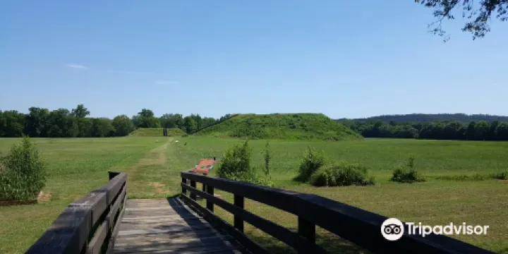 Etowah Indian Mounds State Historic Site
