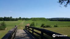 Etowah Indian Mounds State Historic Site-巴托县
