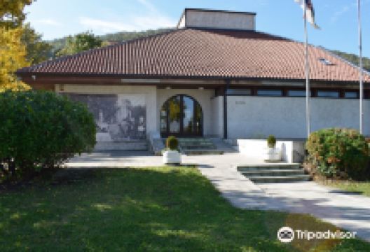 National Museum Arandjelovac景点图片