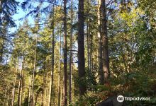 Pretty Corner Woods景点图片