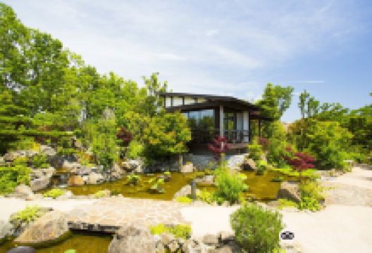 Komorebi Farm Himitsu no Hanazono景点图片
