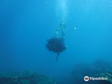 Searama Dive Center-富国岛