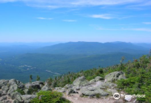 Gray Knob景点图片