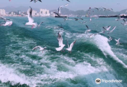 猪岛海上游乐园景点图片