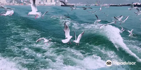 豬島海上游樂園