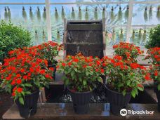 休爱里自然生活公园-西归浦市