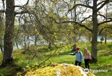 Eahagen - Öglunda Ängar Naturreservat景点图片