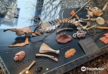 Urgeschichtliches Museum Blaubeuren景点图片
