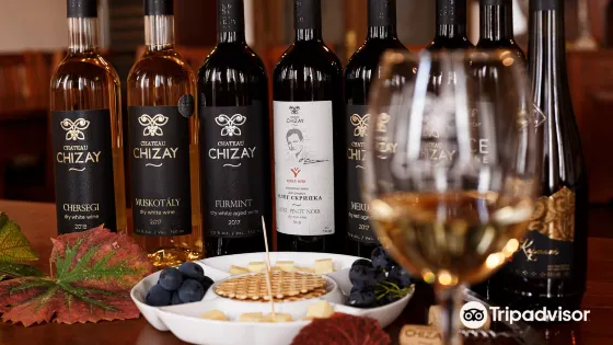 Winery Chateau Chizay