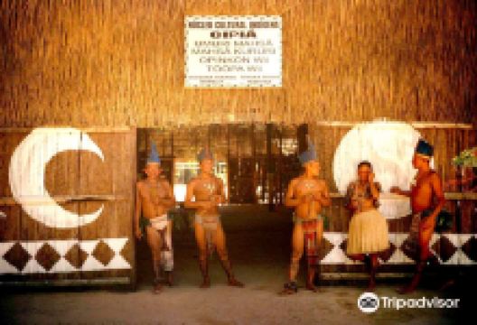 Nucleo Cultural Indigena CIPIA景点图片