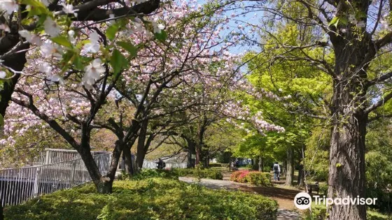 Sengawa Park