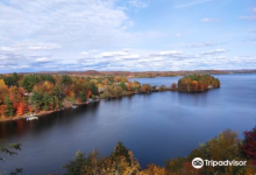 Lions Lookout景点图片