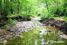 Hidden Oaks Nature Center景点图片