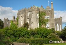 比尔城堡景点图片