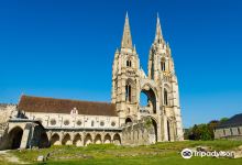 Abbaye Saint-Jean-des-Vignes景点图片