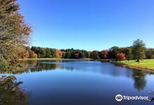 Houghton's Pond景点图片