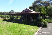 Mongrel Creek Wines景点图片