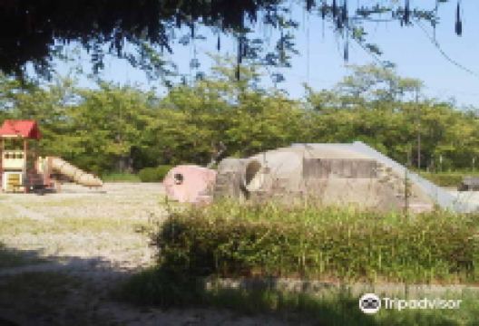 Maruyama Park景点图片
