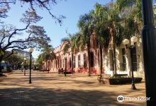 Plaza 9 de Julio景点图片
