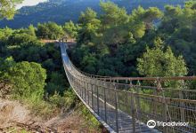 Hanging Bridge at Nesher Park景点图片