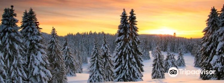 776673089