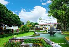 Karanganjar Coffee Plantation景点图片