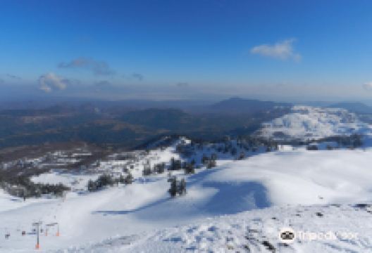National Snow Center Vasilitsas景点图片