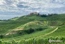 Staufenberg Castle景点图片