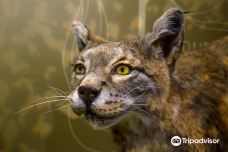 Aven d'Orgnac Grand Site de France-奥尔尼亚克拉旺