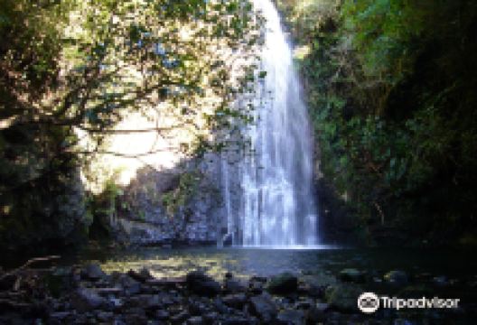 普哈图企鹅栖息地景点图片
