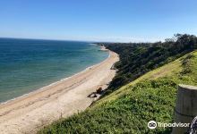 Sandringham Beach景点图片