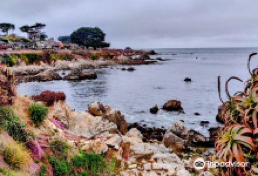 Pacific Grove Shoreline Parkway Marine Refuge景点图片
