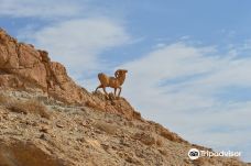 Sahara Desert-Bab Bhar